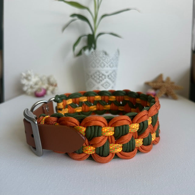 Autumn Feels - Launching Offer