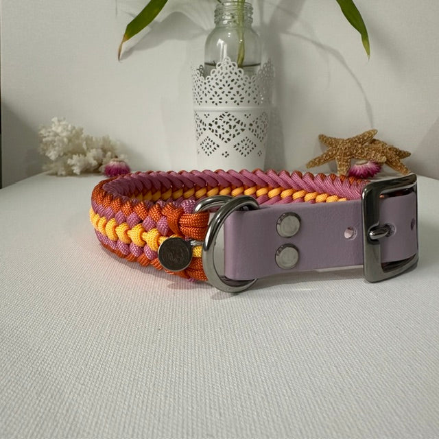 Sunrise - Handmade Paracord & BioThane® Collar