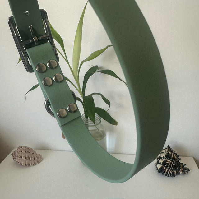 Handmade Genuine BioThane® Dog Collars - Durable, Waterproof & Vegan-Friendly