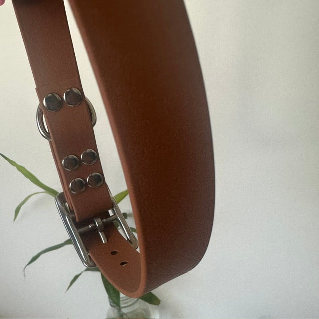 Handmade Genuine BioThane® Dog Collars - Durable, Waterproof & Vegan-Friendly