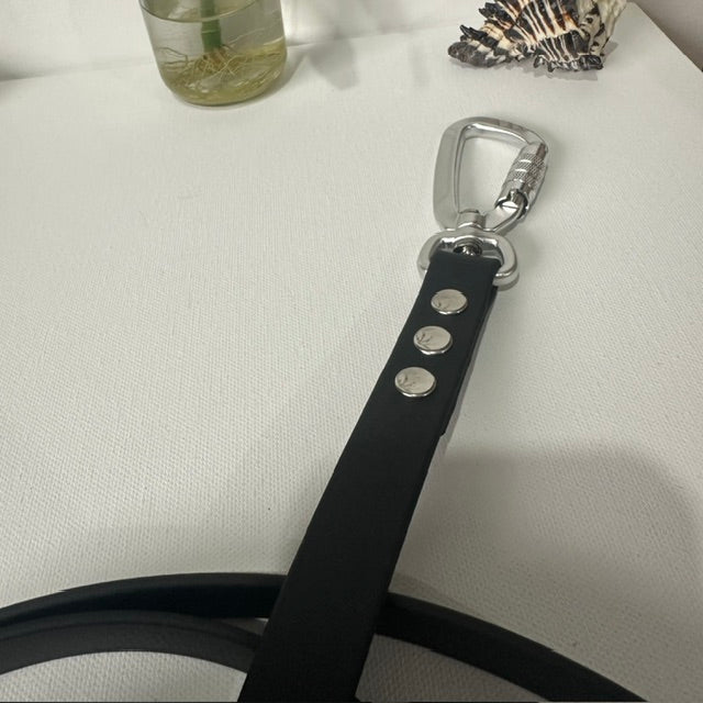 Handmade Genuine BioThane® Dog Leashes - Durable, Waterproof & Vegan-Friendly